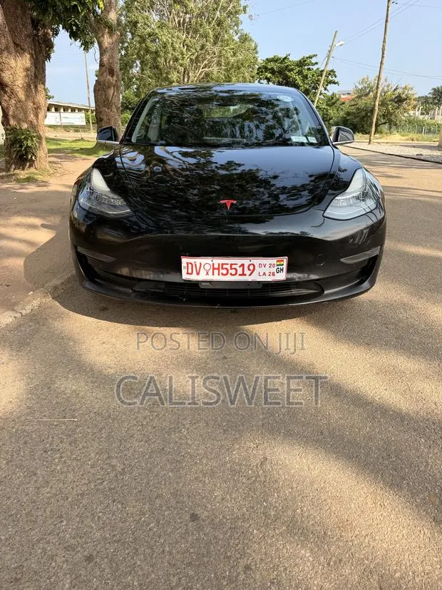Tesla Model 3 54 kWh Standart Range Plus 2021 Black · Photo 1