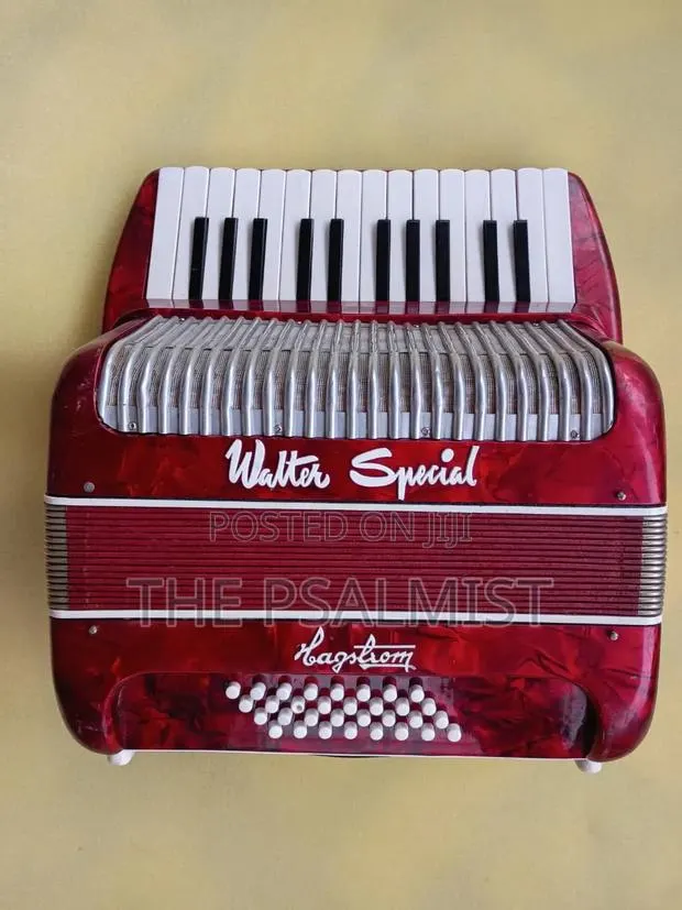 Walter Special Accordion · Photo 1