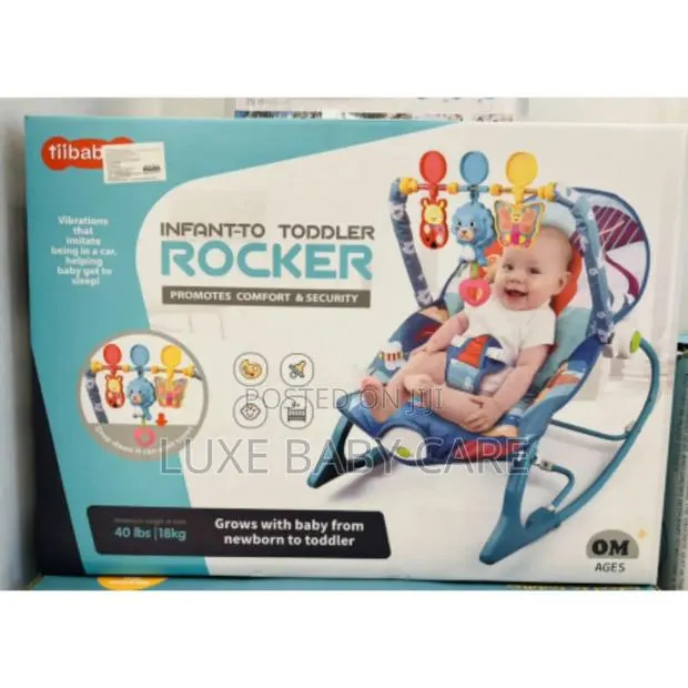 Infant to Toddler 2 in 1 Rocking Bouncer Chair · Photo 1