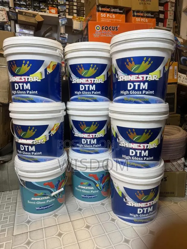 Shinestar DTM (High Gloss Paint · Photo 2