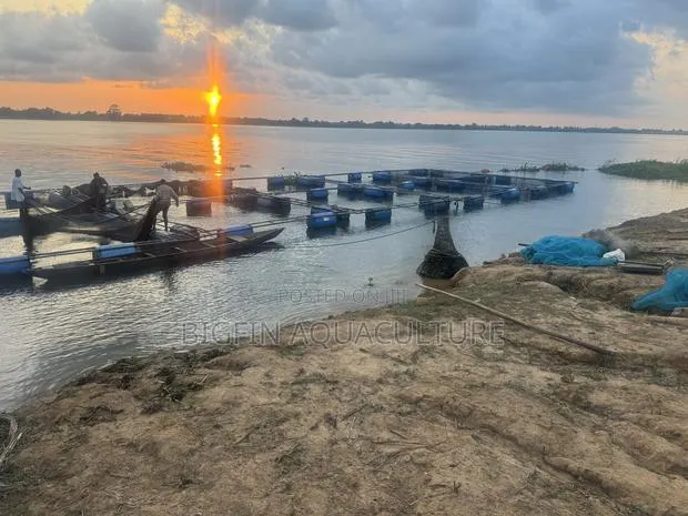 Floating Tilapia and Catfish Cages · Photo 1