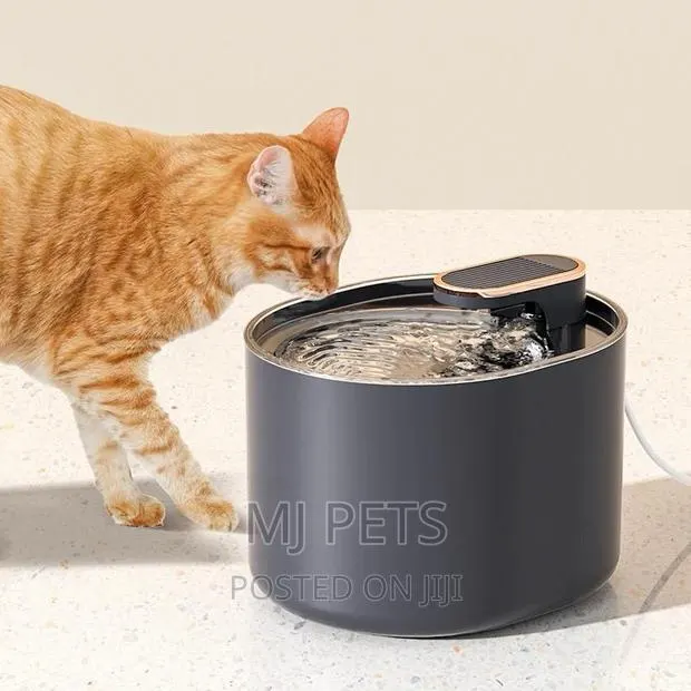 Electronic Pet Water Dispenser · Photo 1