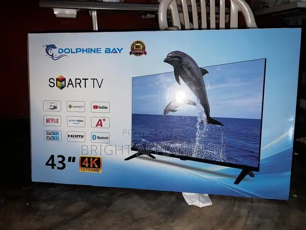 Dolphine Bay TV · Photo 1