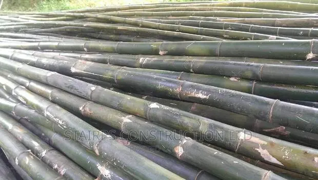 Bamboo 18ft and 20ft Available. At Different Prices. · Photo 1