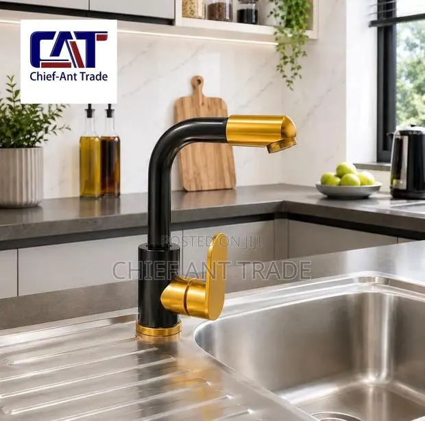 Kitchen and Basin Faucet 3726s · Photo 1