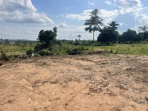 Nsawam Land for Sale · Photo 1