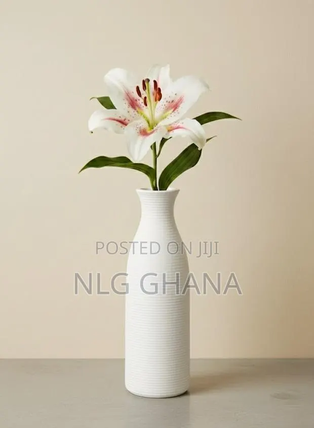 Modern Ceramic Vase With Matte Finish. Ghx7486 · Photo 1