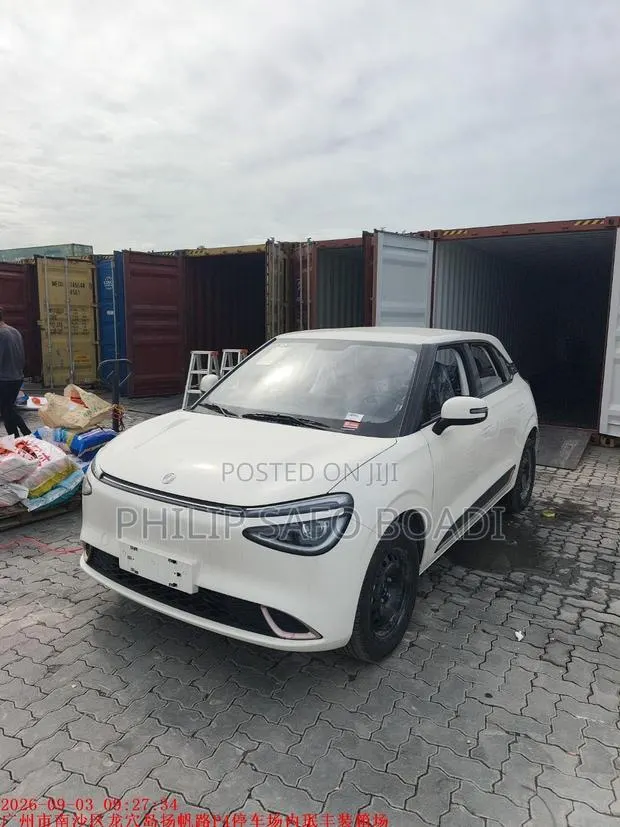 New Dongfeng Nammi 01 42.3 kWh 430 Air 2025 White · Photo 1
