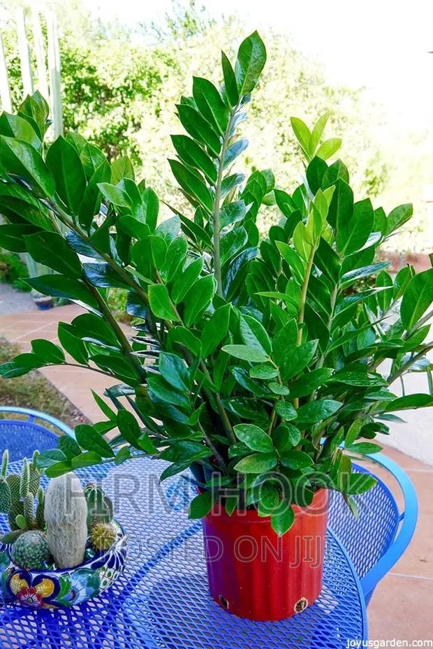 Landscaping · Photo 1