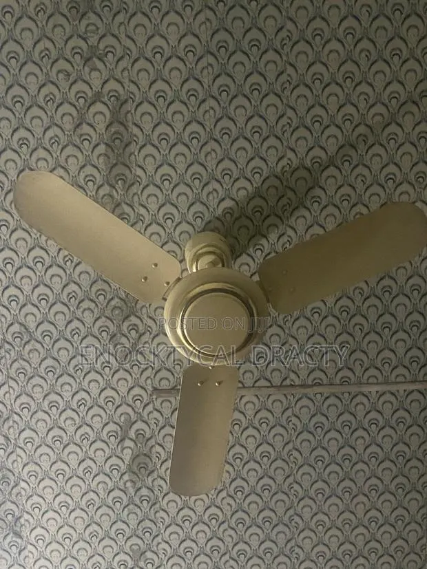 Ceiling Fan · Photo 1