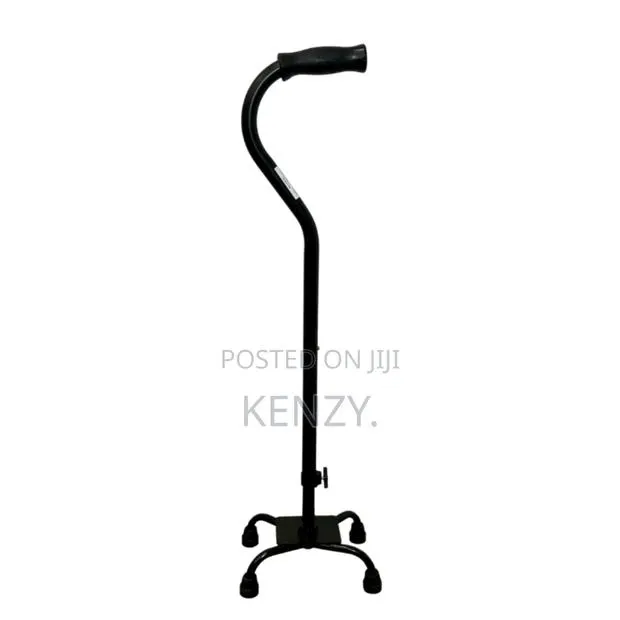 Quad Cane (Quality) · Photo 1