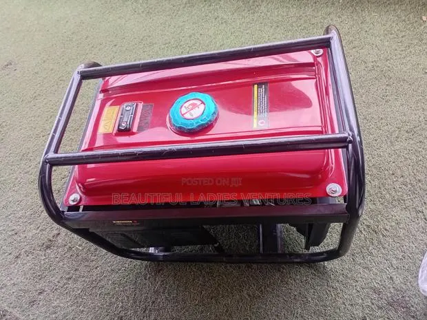 Powerful Electrical Backup System · Photo 1
