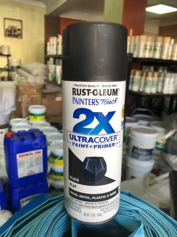 Rust-Oleum Paint and Primer Flat Black · Photo 1