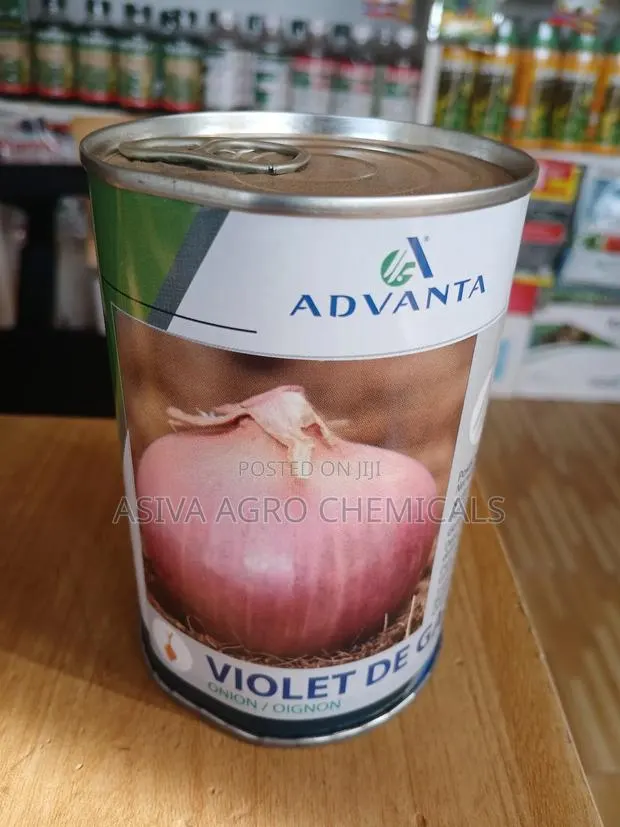 Violet De Galmi (Red Onion Seeds) · Photo 1