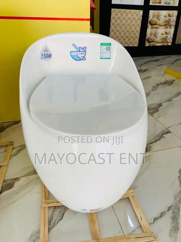 Egg Shape Toilet Seat · Photo 1