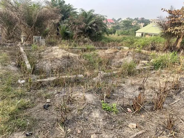 Half Plot for Sale at Sokoban,Wood Village Are. · Photo 1