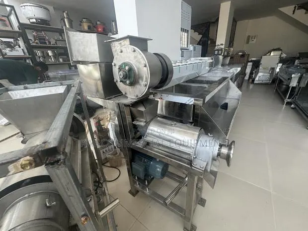 Industrial Automatic Tigernut And Ginger Juicer · Photo 1