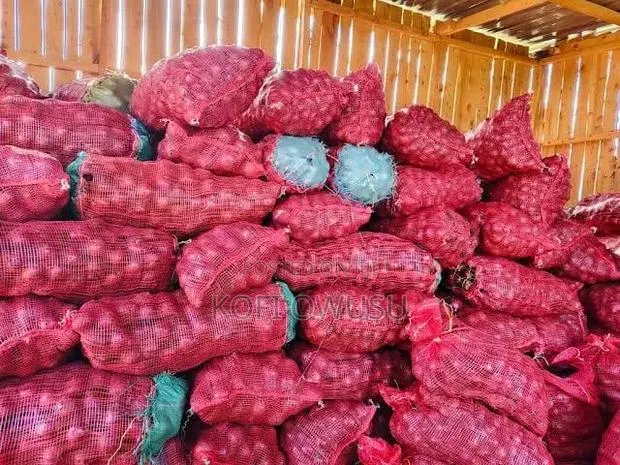 Fresh Onions · Photo 1