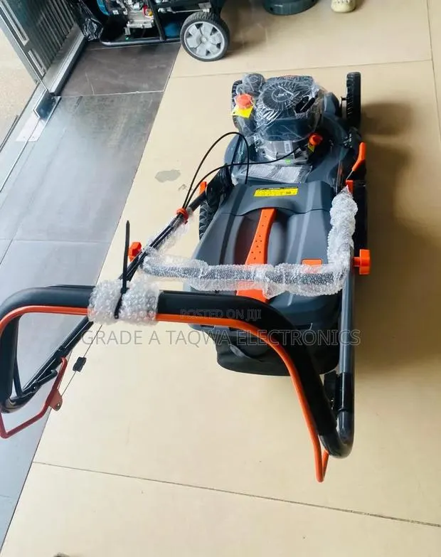 1.5 Litre Tank Leo 5.5hp Lawn Mower · Photo 1