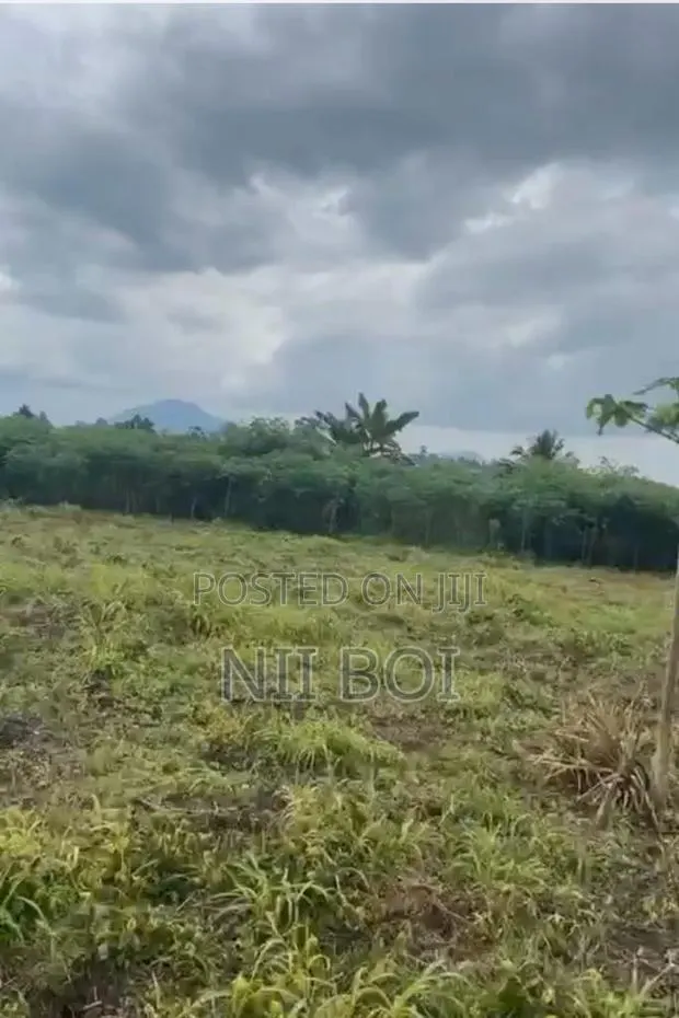 35 Acres Flood-Free Land in Adeiso Near Accra-Kumasi Expressway · Photo 1
