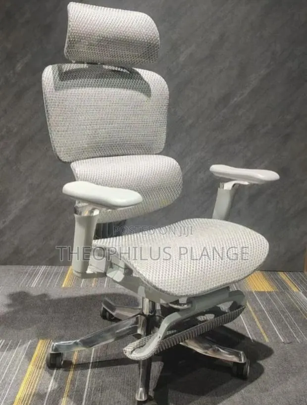 Alfordsom Ergonomic Swivel Chair · Photo 1