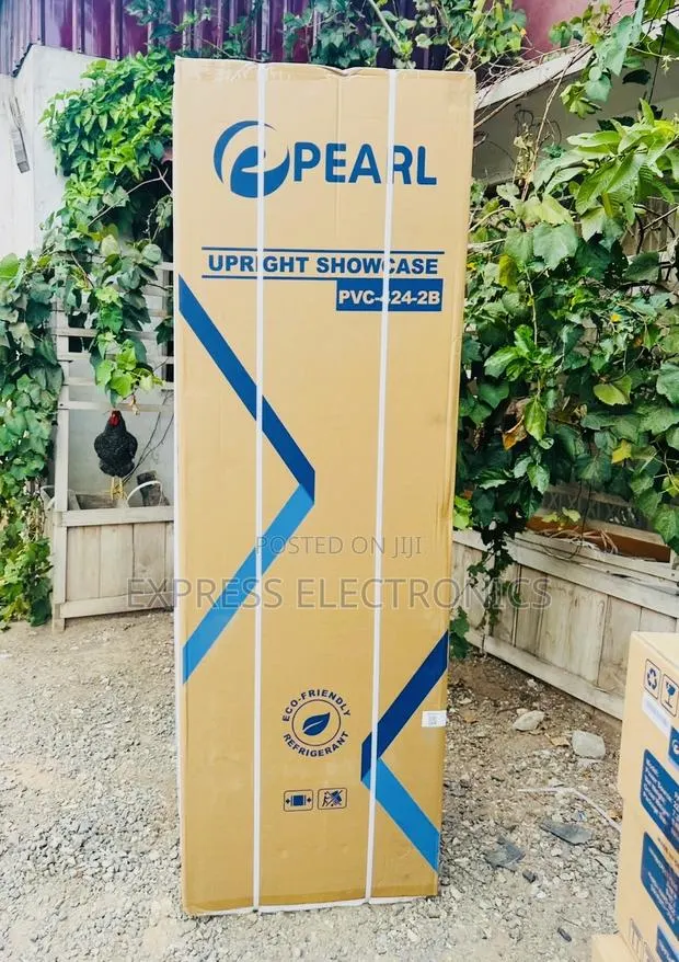 Shoo From 10gig Store Vertical Display Pearl PVC-424-2B · Photo 1