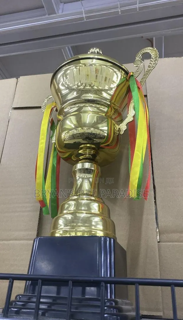 Football Trophies · Photo 1