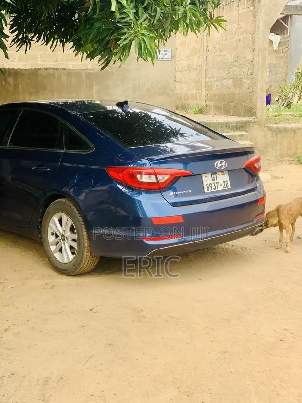 Car Rental Services · Photo 1