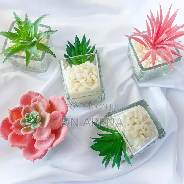 Potted Faux Succulents Plants Available in Designs