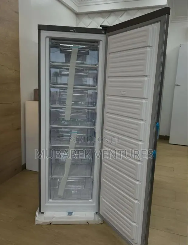 Nasco 166ltrs Standing Freezer · Photo 1