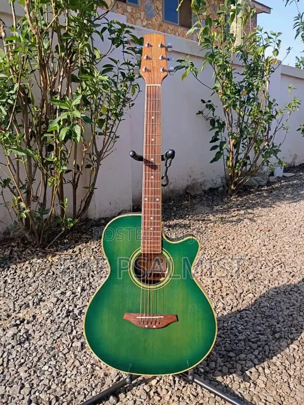 Barclay Sc- 300 Semi Acoustic Guitar · Photo 1
