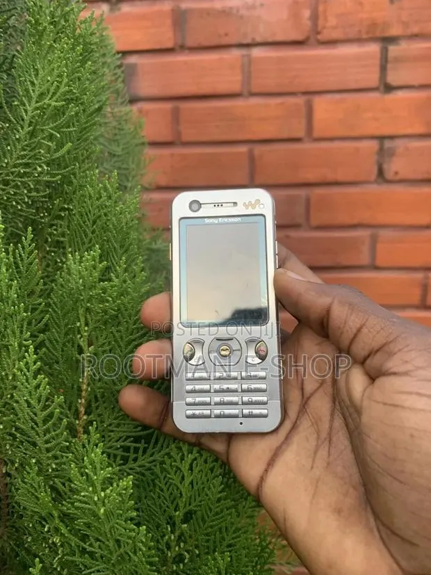 Sony Ericsson W890 Silver · Photo 1