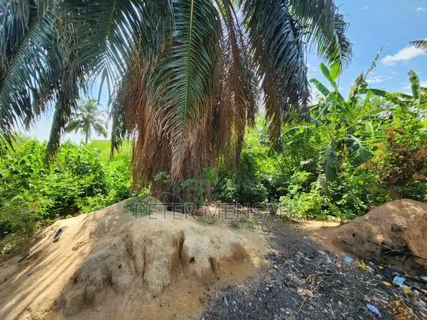 Prime Land for Sale · Photo 1