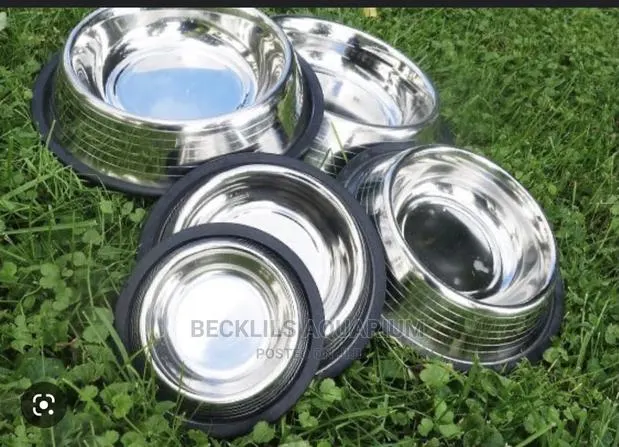Dog and Cat Eating Bowls · Photo 1