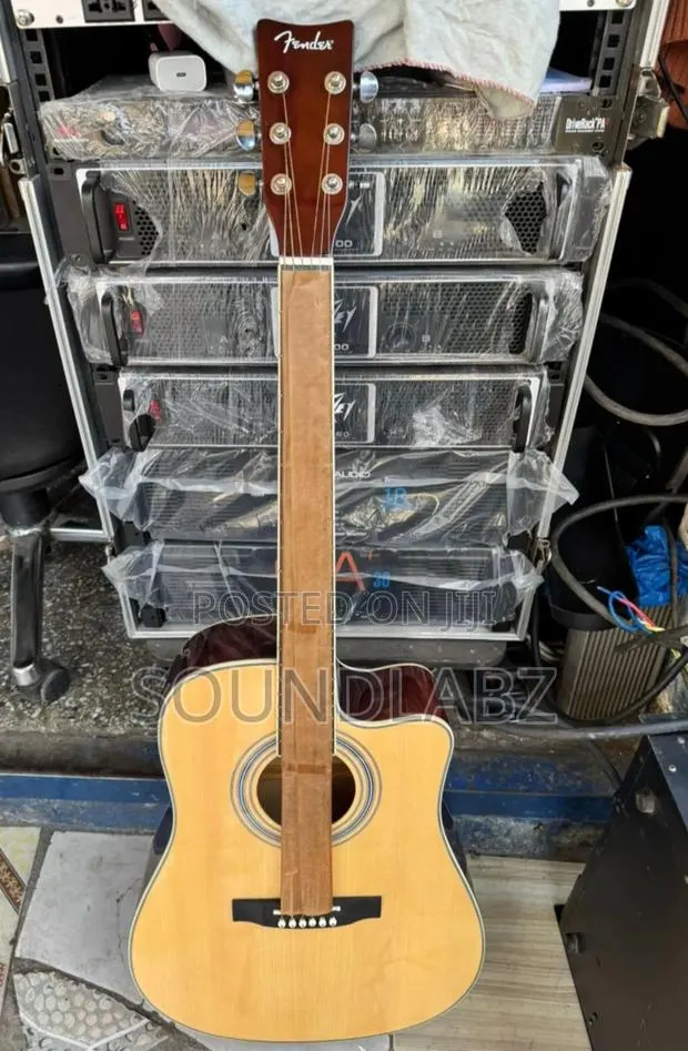 Fender Semi-Acoustic Guitar · Photo 1