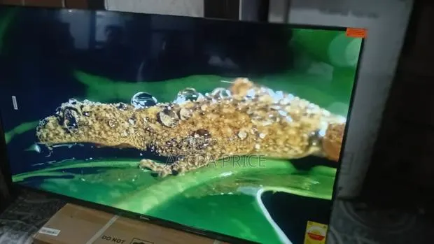 Scientific Vividity Televisions Sigma 55inches Televisions · Photo 1