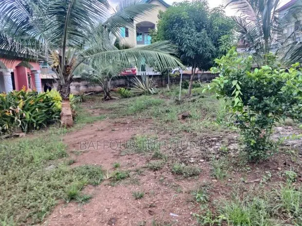Nyame Ne Hene Properties · Photo 3
