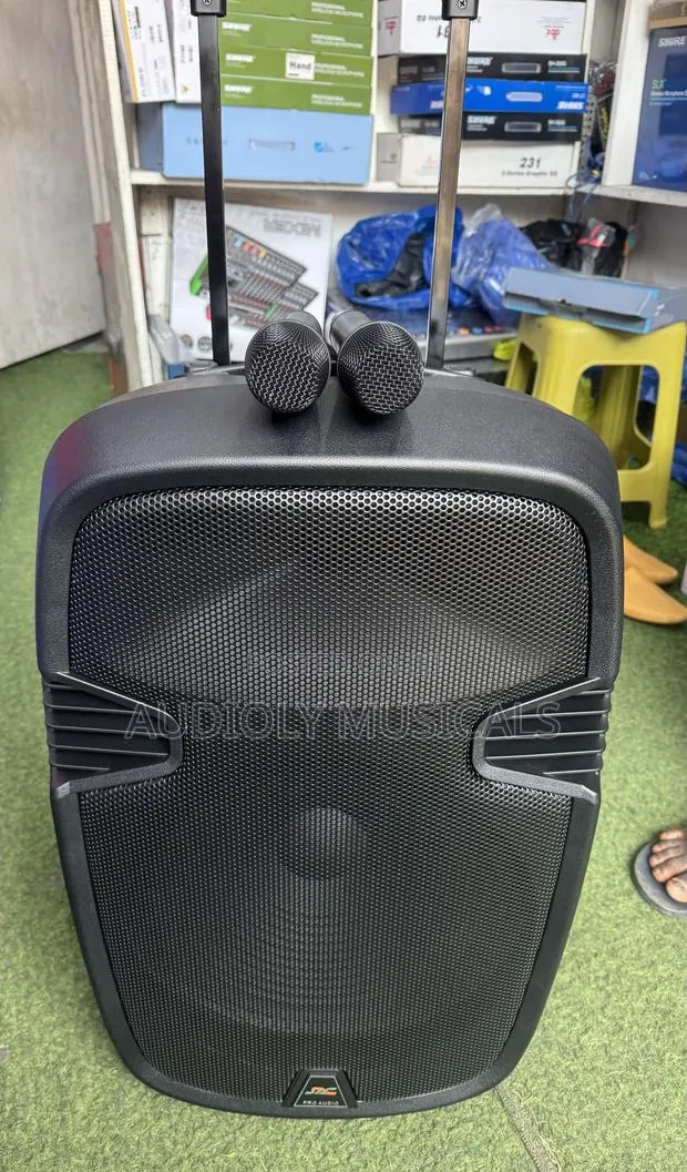 12Inches Bluetooth Rechargeable Speaker With Two Microphones · Photo 1