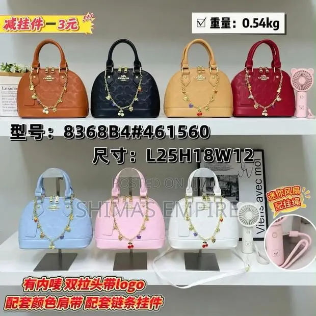 Luxury Ladies Handbag · Photo 1