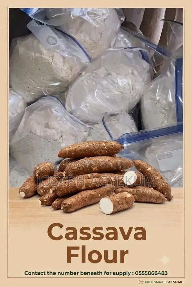 Cassava and Plantain Flour · Photo 1