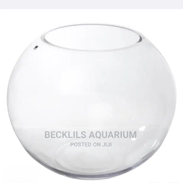 Bigger Glass Bowl · Photo 1