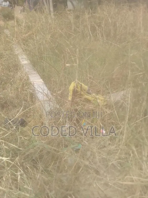 Land for Sale · Photo 4