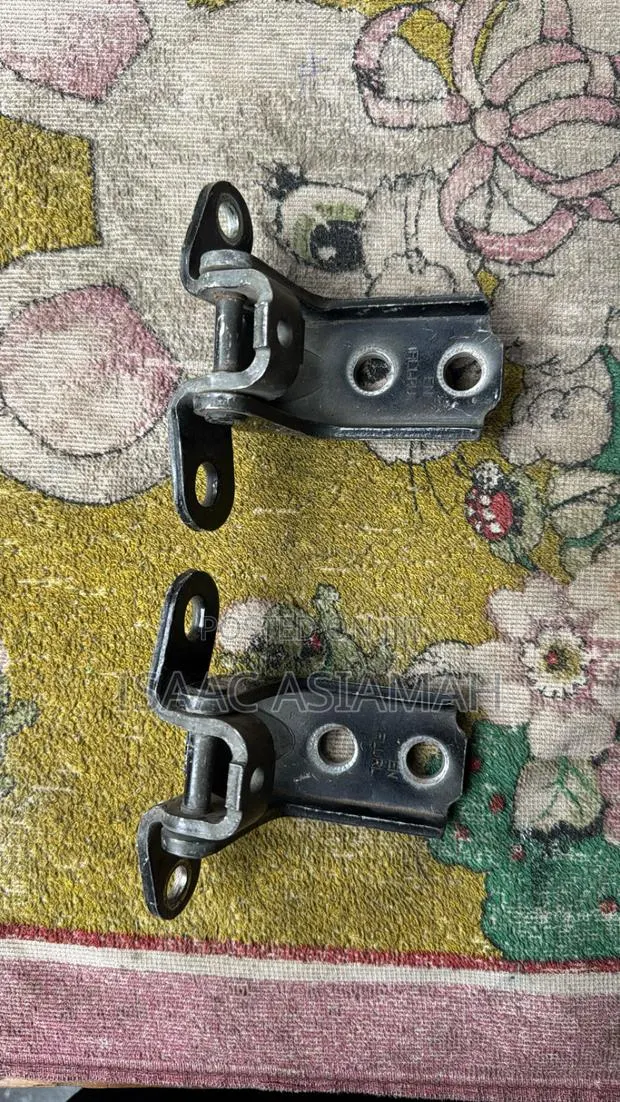 Santafe 2013,2014,2015,2016,2017,2018,2019,2020,2021,2022 Door Hinge · Photo 1
