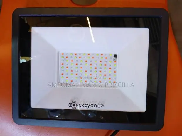 Rgb Flooodlight With Remote Control · Photo 1