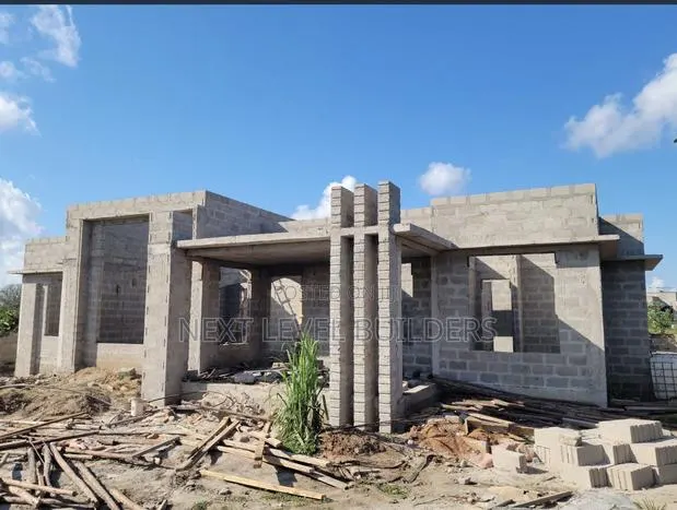 Professional Building Contractor · Photo 1