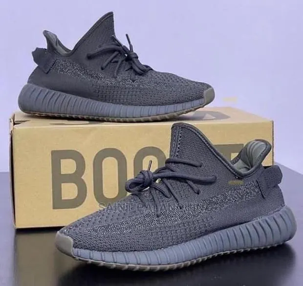 Adidas Yeezy Boost 350 Version · Photo 1