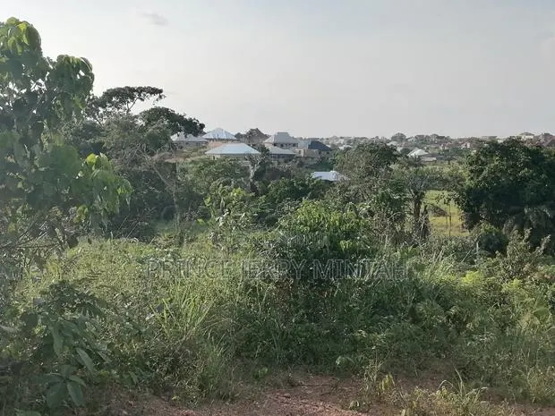 Real Estate · Photo 1