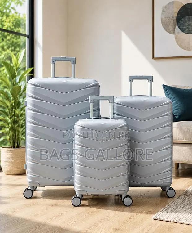 Ash Color Luggage · Photo 1