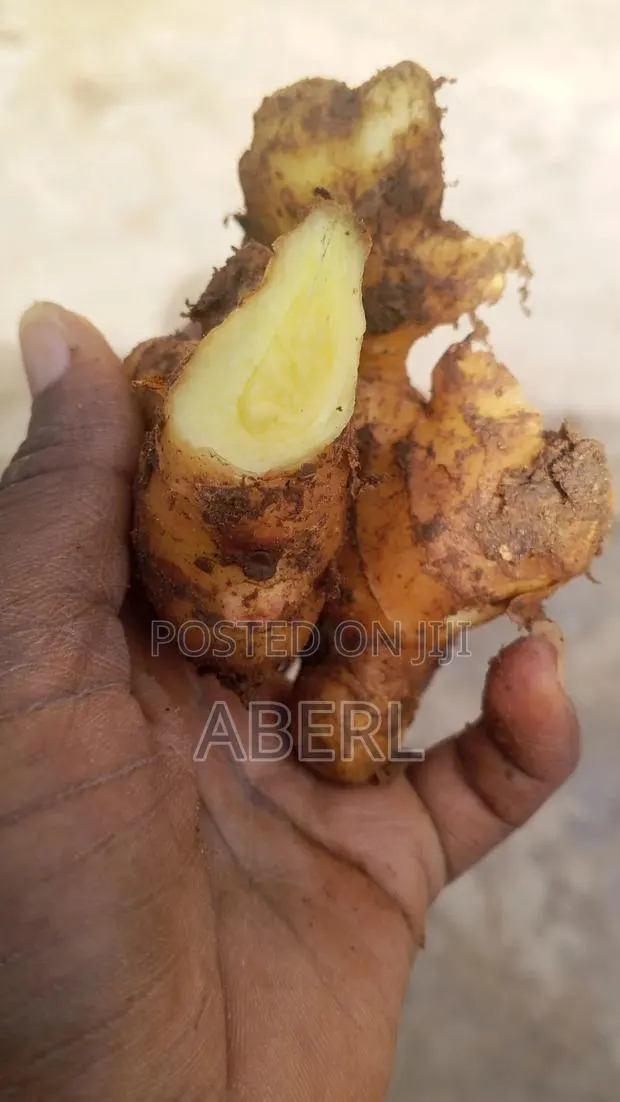 Fresh Affordable Ginger Available · Photo 1