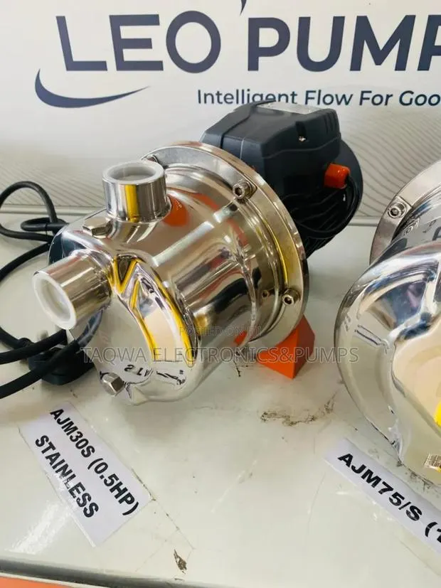 For Clean Water Leo 0.5hp Stainless Water Pump · Photo 1